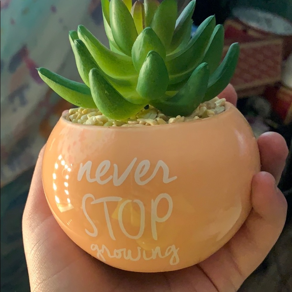 mini fake plant